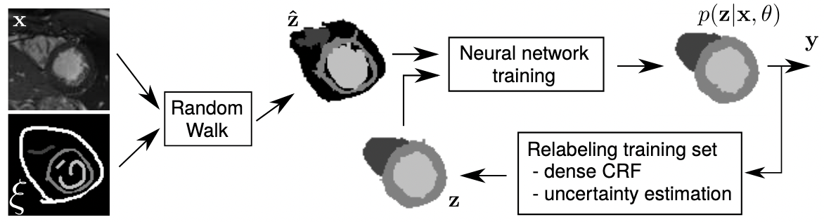 Learning to Segment Medical Images with Scribble-Supervision Alone